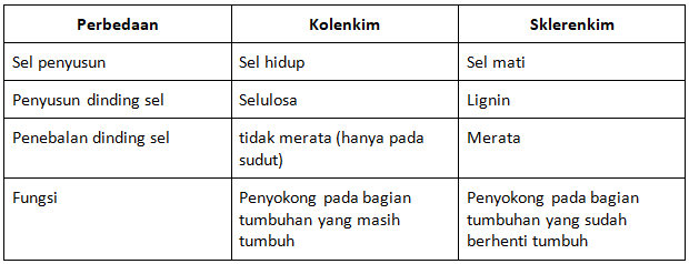Detail Gambar Jaringan Penyokong Pada Tumbuhan Nomer 52
