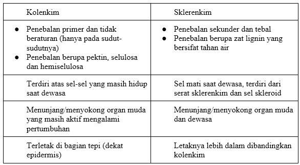 Detail Gambar Jaringan Penyokong Pada Tumbuhan Nomer 53