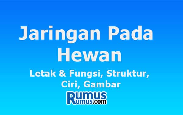 Detail Gambar Jaringan Saraf Pada Hewan Nomer 58