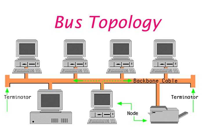 Detail Gambar Jaringan Topologi Bus Nomer 2