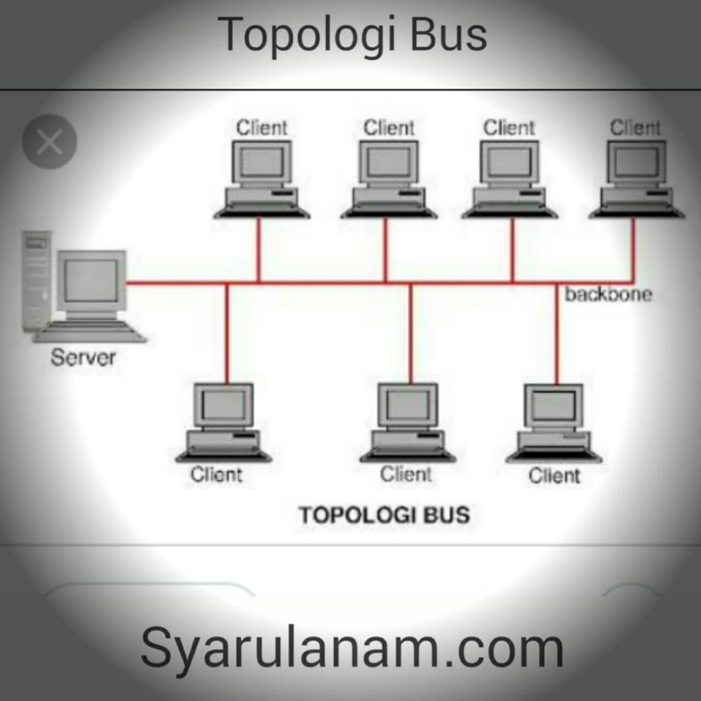 Detail Gambar Jaringan Topologi Bus Nomer 36