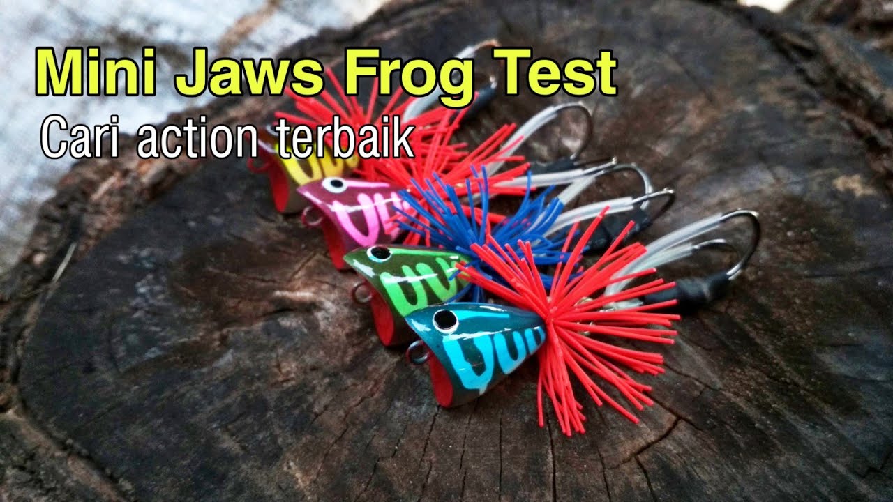 Detail Gambar Jaws Frog Nomer 18