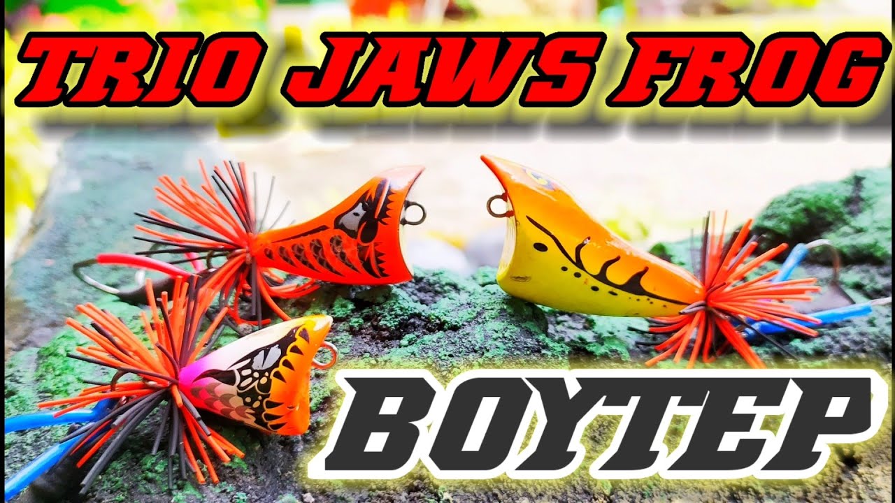 Detail Gambar Jaws Frog Nomer 33