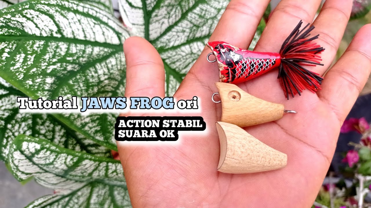 Detail Gambar Jaws Frog Nomer 37