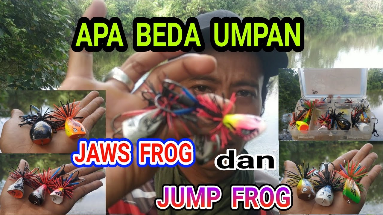 Detail Gambar Jaws Frog Nomer 43