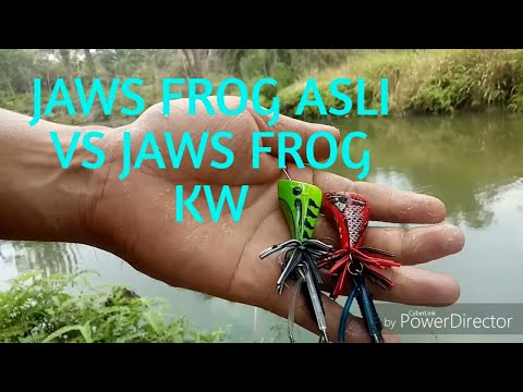 Detail Gambar Jaws Frog Nomer 51