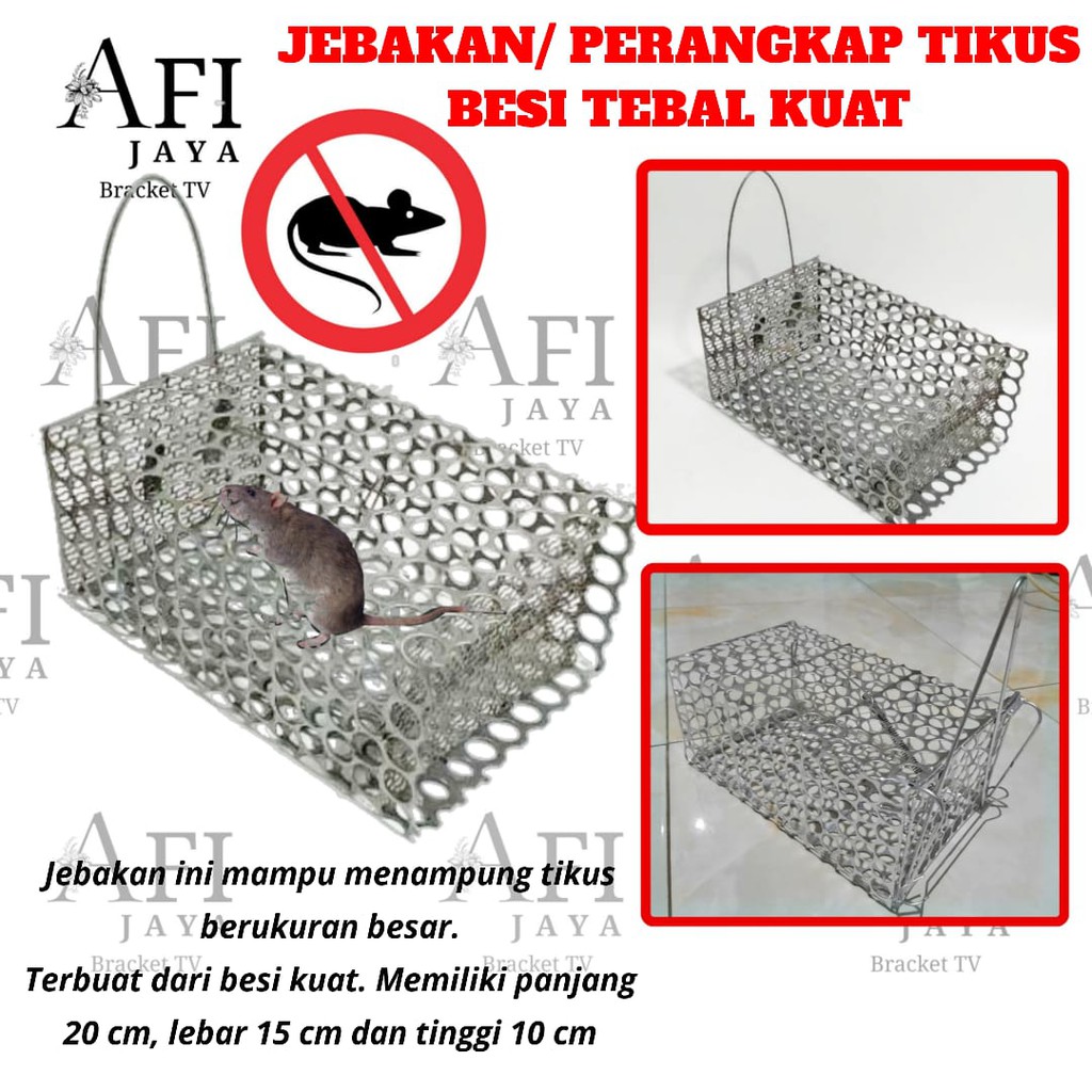 Detail Gambar Jebakan Tikus Nomer 30