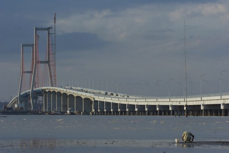 Detail Gambar Jembatan Suramadu Nomer 14