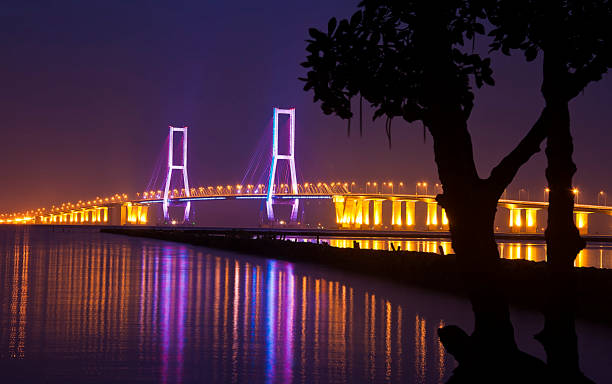 Detail Gambar Jembatan Suramadu Malam Hari Nomer 24