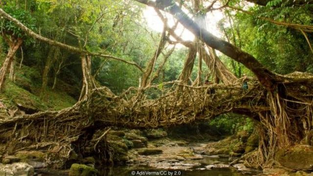 Detail Gambar Jembatan Zaman Purba Nomer 24