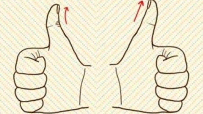 Detail Gambar Jempol Sip Nomer 40