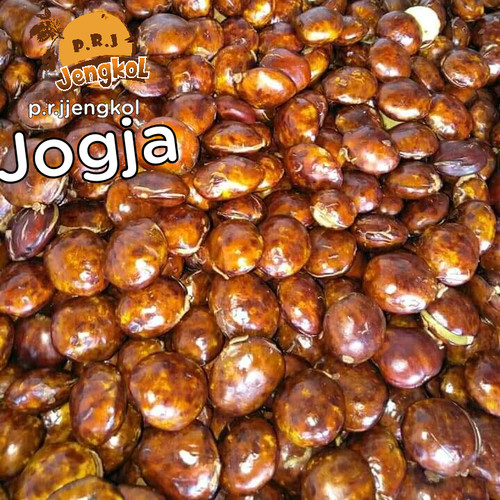 Detail Gambar Jengkol Mentah Nomer 38