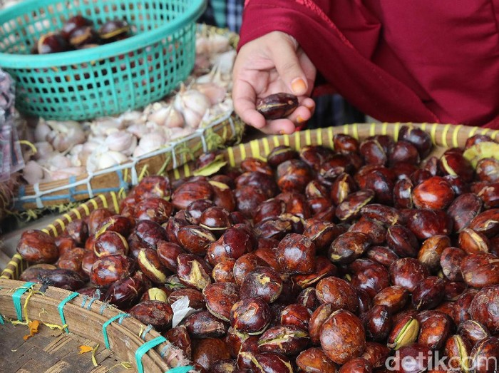 Detail Gambar Jengkol Muda Nomer 20