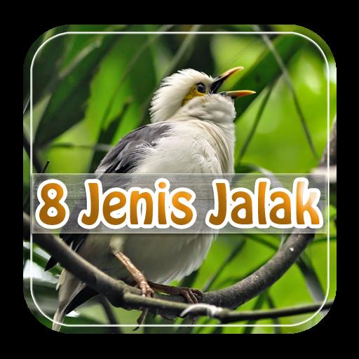 Detail Gambar Jenis Burung Kicau Nomer 49