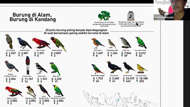 Detail Gambar Jenis Burung Kicau Nomer 9