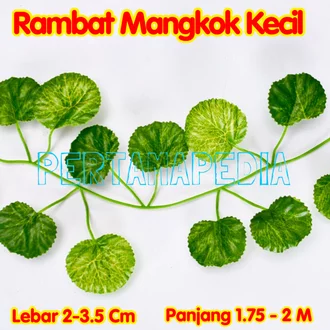 Detail Gambar Jenis Daun Nomer 51