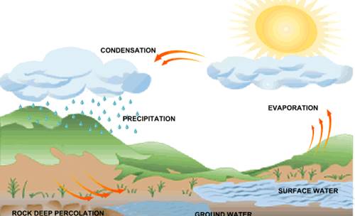 Detail Gambar Jenis Hujan Nomer 4