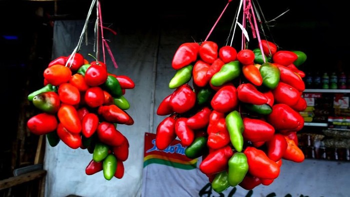 Detail Gambar Jenis Jenis Cabe Di Indonesia Nomer 9