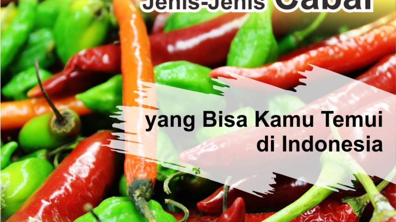 Detail Gambar Jenis Jenis Cabe Di Indonesia Nomer 46