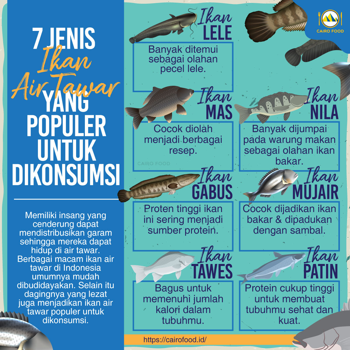 Detail Gambar Jenis Jenis Ikan Air Tawar Nomer 10