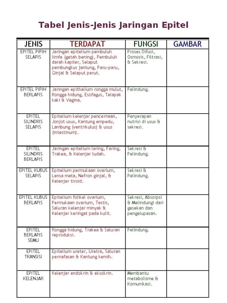Detail Gambar Jenis Jenis Jaringan Epitelium Nomer 47