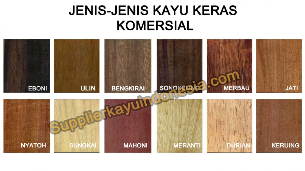 Detail Gambar Jenis Jenis Kayu Nomer 2