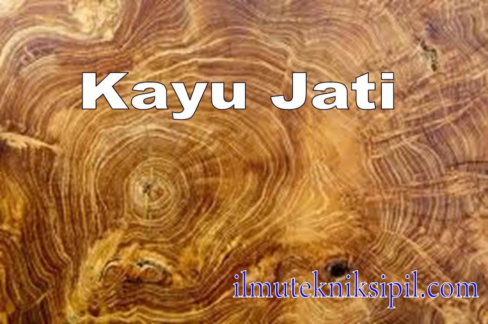 Detail Gambar Jenis Jenis Kayu Nomer 39