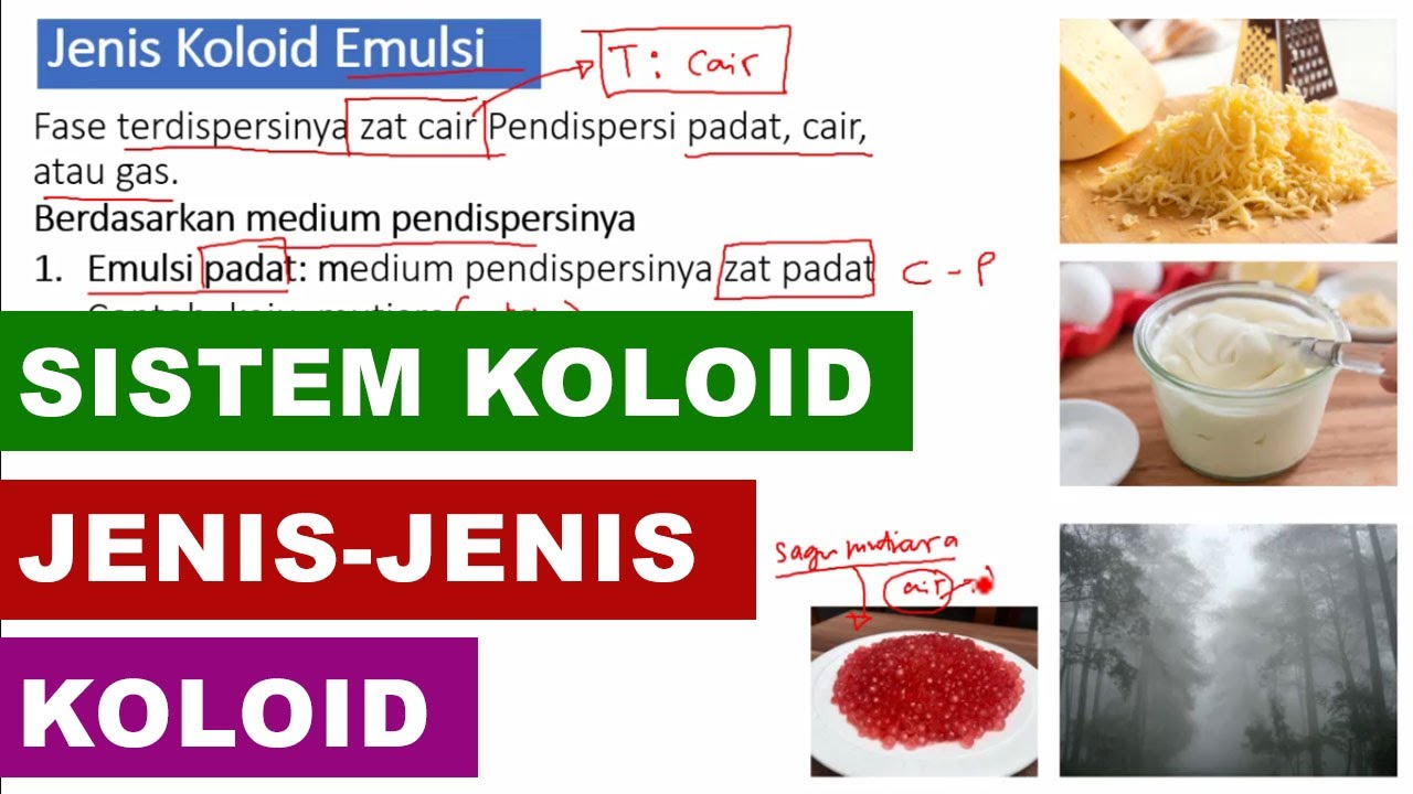 Detail Gambar Jenis Jenis Koloid Nomer 9