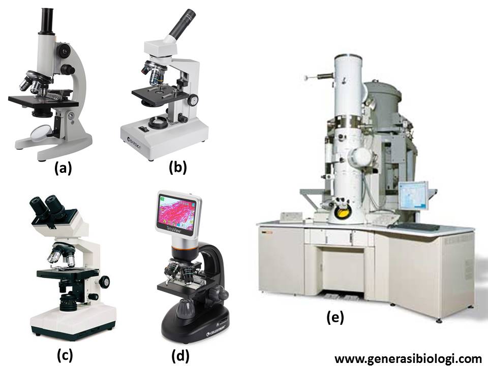 Detail Gambar Jenis Jenis Mikroskop Nomer 2