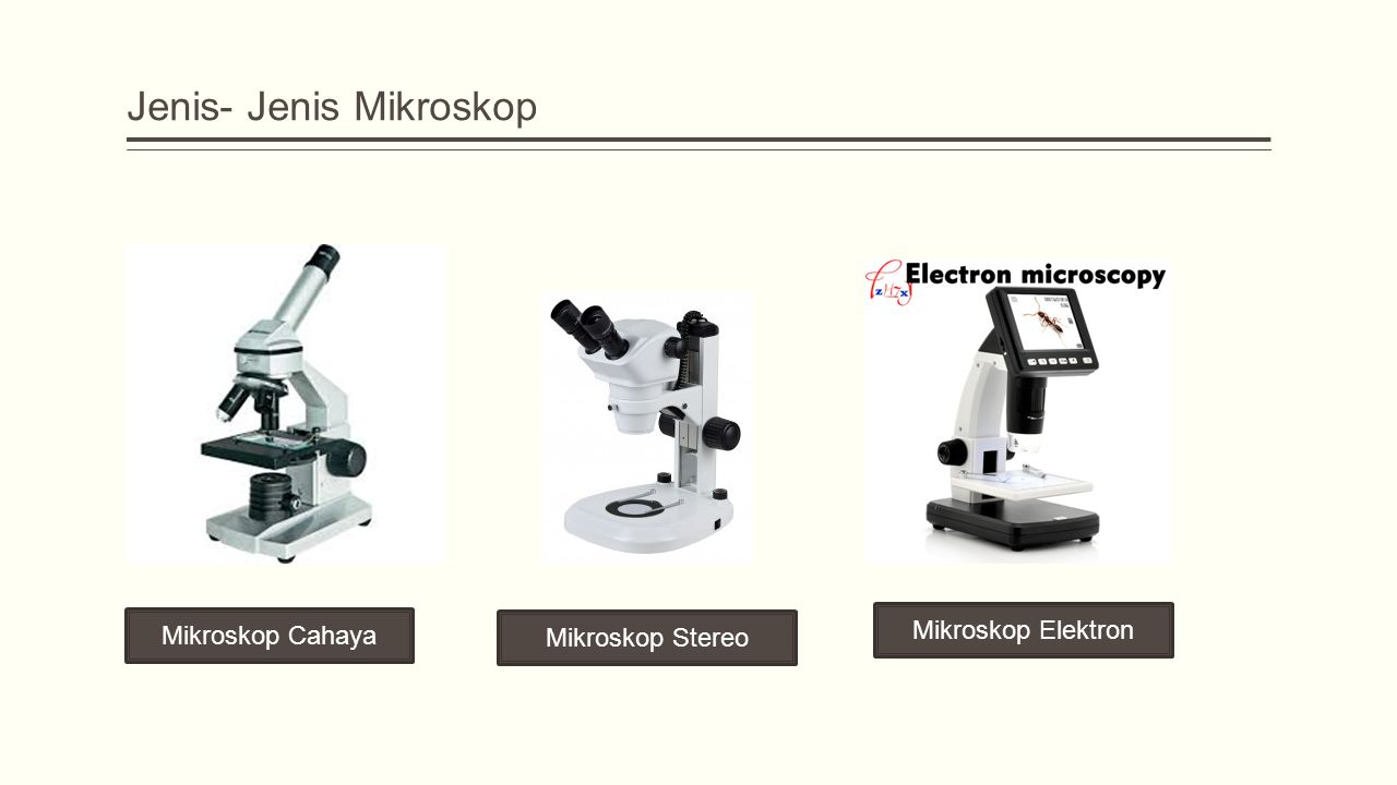 Detail Gambar Jenis Jenis Mikroskop Nomer 17