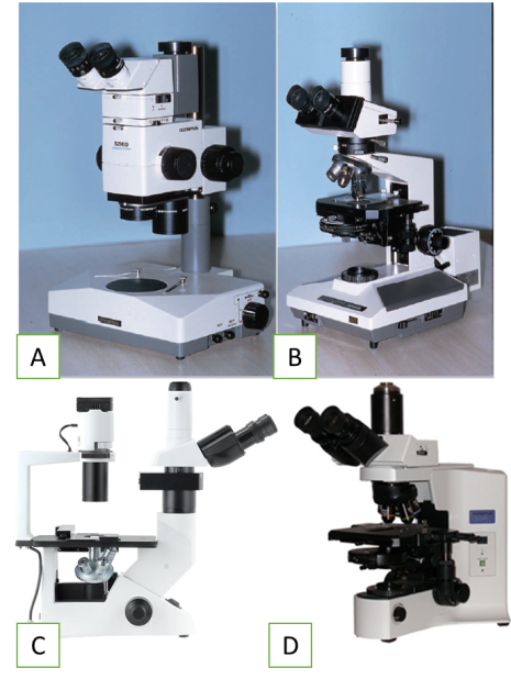 Detail Gambar Jenis Jenis Mikroskop Nomer 19