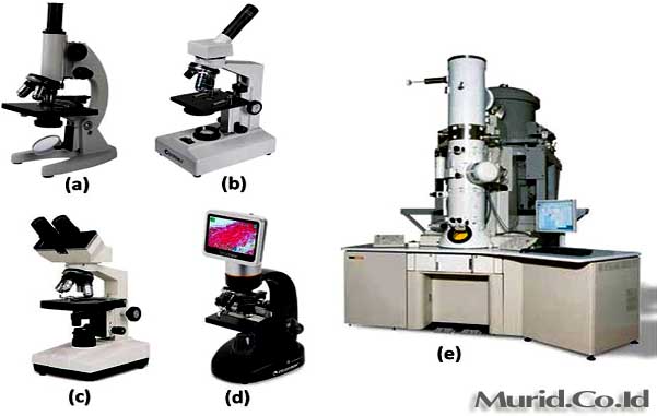 Detail Gambar Jenis Jenis Mikroskop Nomer 20