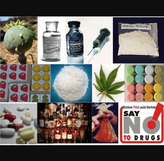 Detail Gambar Jenis Jenis Narkoba Nomer 15