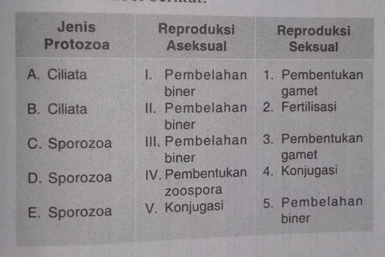 Detail Gambar Jenis Jenis Protozoa Nomer 35