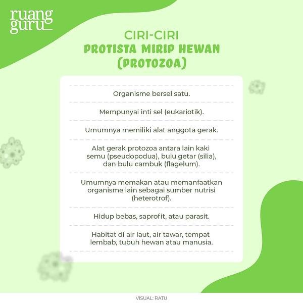 Detail Gambar Jenis Jenis Protozoa Nomer 36