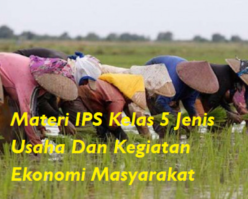 Detail Gambar Jenis Jenis Usaha Nomer 26