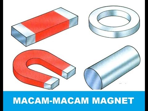 Detail Gambar Jenis Magnet Nomer 30
