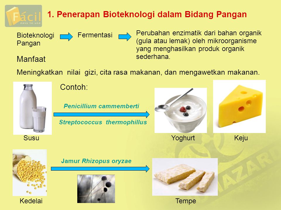 Detail Gambar Jenis Makanan Dalam Bioteknologi Pangan Nomer 13