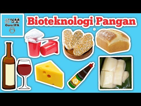 Detail Gambar Jenis Makanan Dalam Bioteknologi Pangan Nomer 22