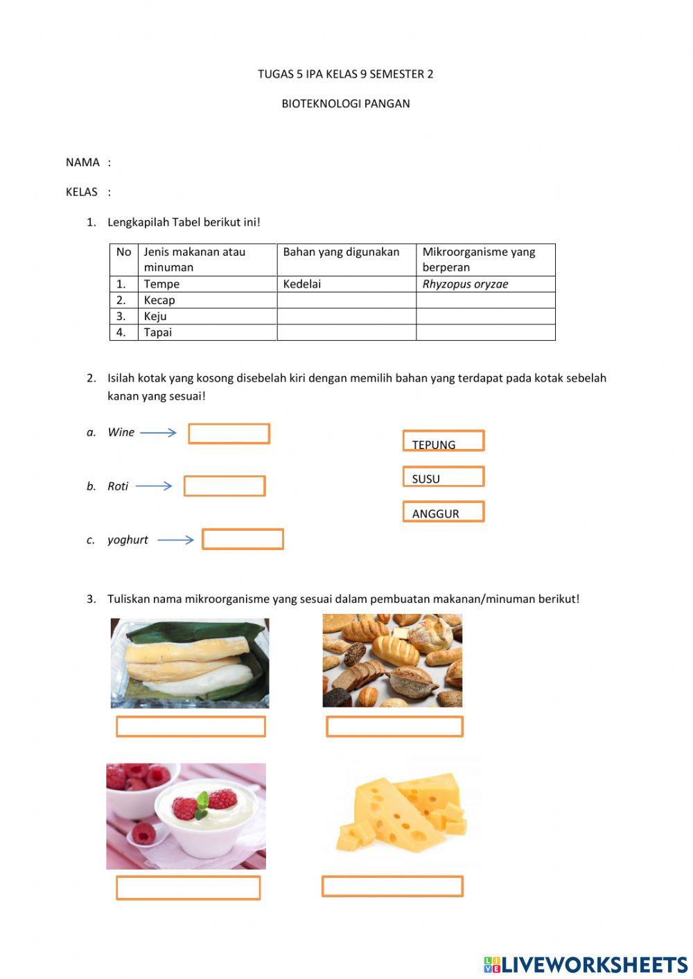 Detail Gambar Jenis Makanan Dalam Bioteknologi Pangan Nomer 24