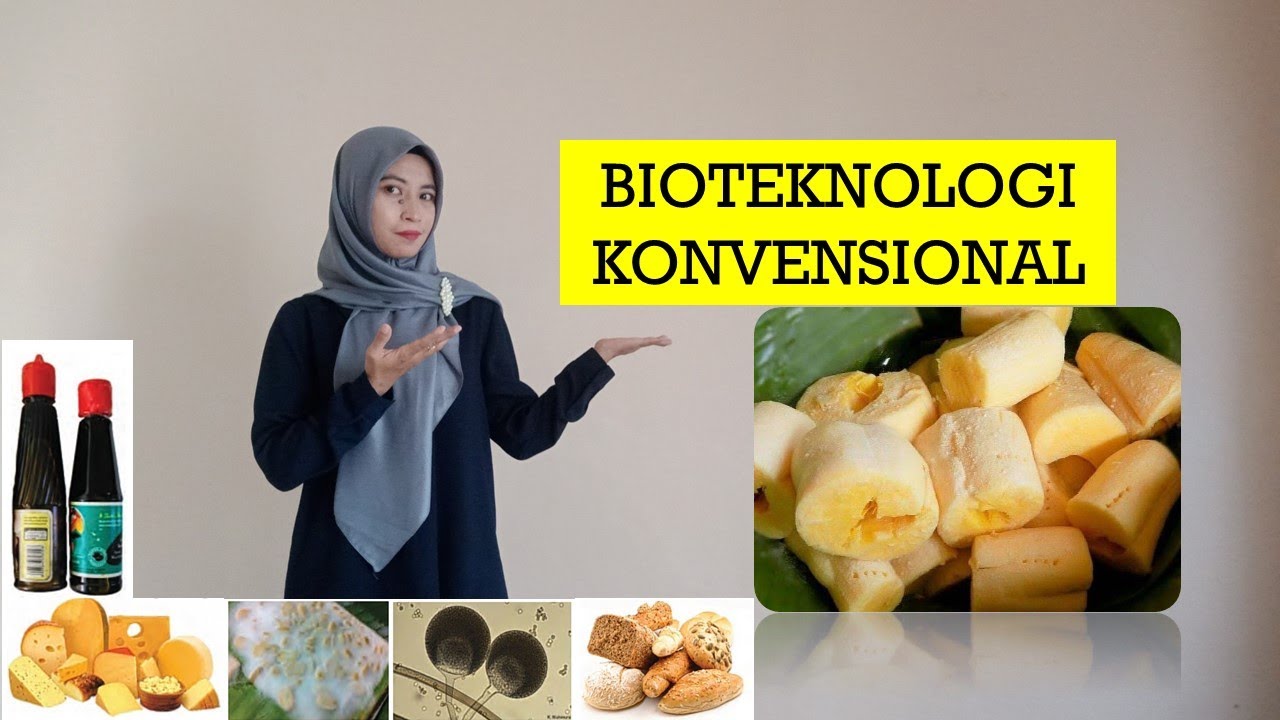 Detail Gambar Jenis Makanan Dalam Bioteknologi Pangan Nomer 28