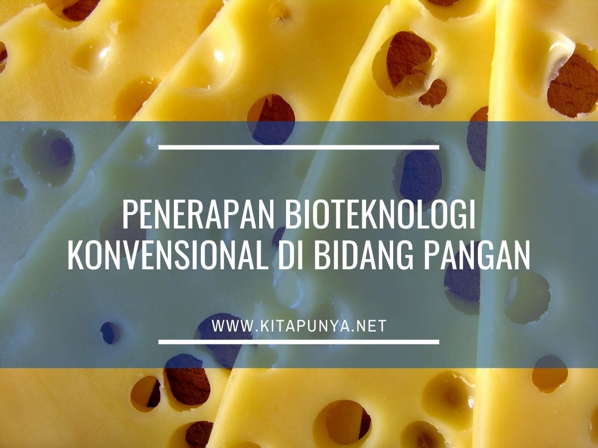 Detail Gambar Jenis Makanan Dalam Bioteknologi Pangan Nomer 30