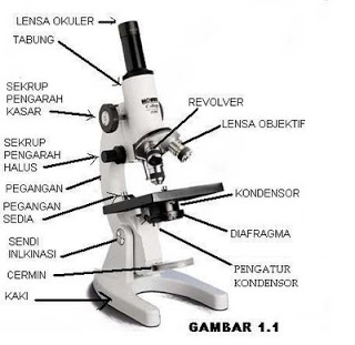 Detail Gambar Jenis Mikroskop Lengkap Dengan Bagian Bagiannya Nomer 2