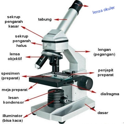 Detail Gambar Jenis Mikroskop Lengkap Dengan Bagian Bagiannya Nomer 10