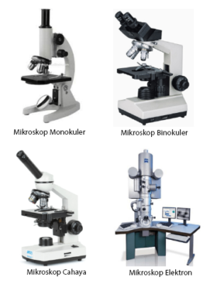 Detail Gambar Jenis Mikroskop Lengkap Dengan Bagian Bagiannya Nomer 12