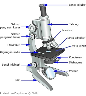 Detail Gambar Jenis Mikroskop Lengkap Dengan Bagian Bagiannya Nomer 13