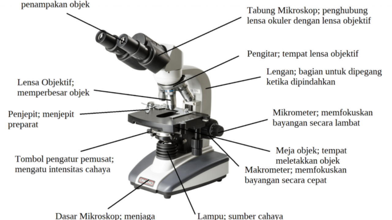Detail Gambar Jenis Mikroskop Lengkap Dengan Bagian Bagiannya Nomer 14