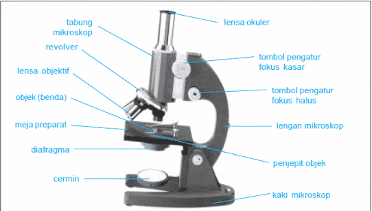 Detail Gambar Jenis Mikroskop Lengkap Dengan Bagian Bagiannya Nomer 15