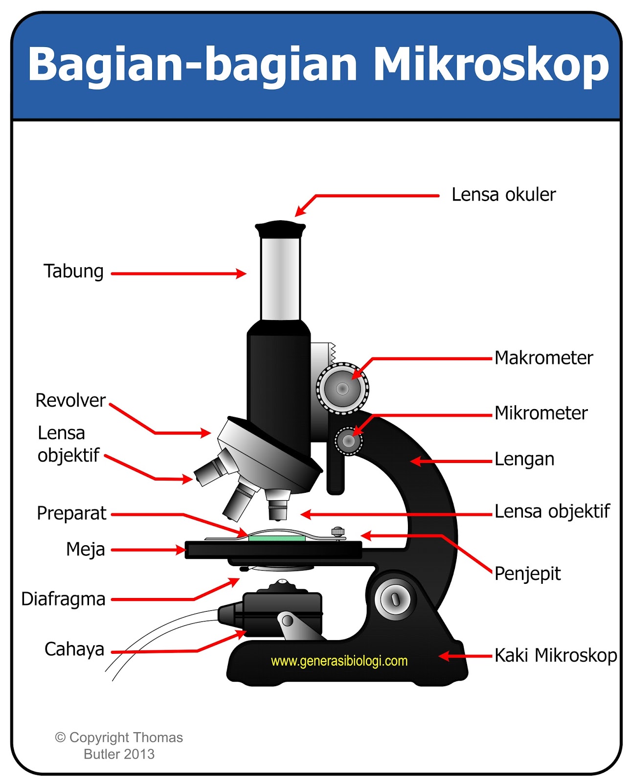 Detail Gambar Jenis Mikroskop Lengkap Dengan Bagian Bagiannya Nomer 4