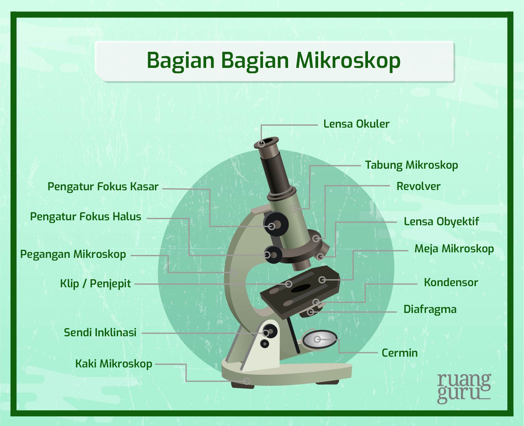 Detail Gambar Jenis Mikroskop Lengkap Dengan Bagian Bagiannya Nomer 27